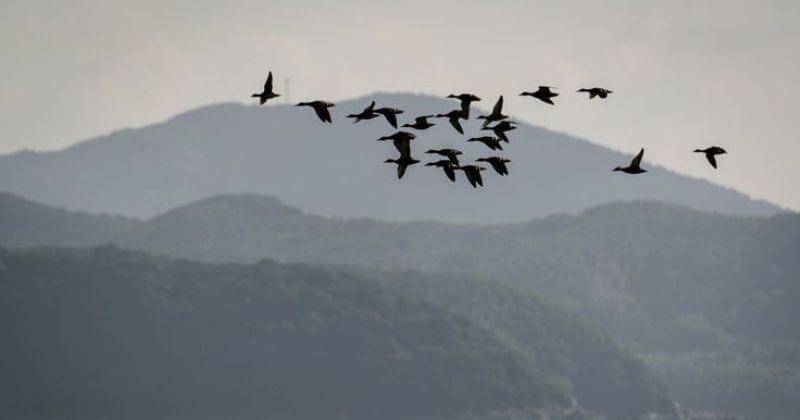 Pinterest.com/谭郅霖